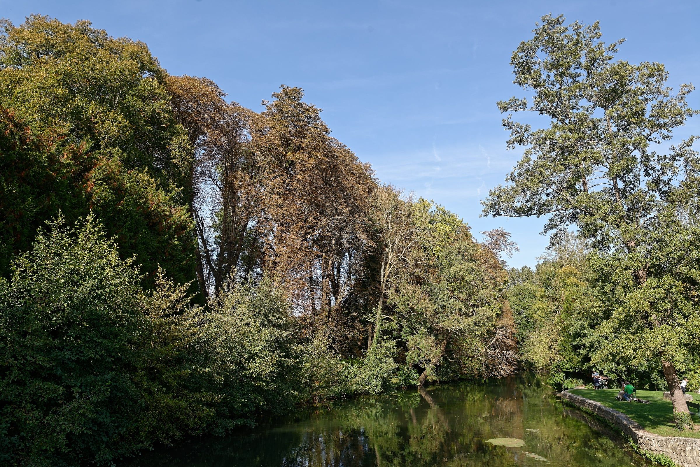 L’Epte à Fourges, en amont de Giverny : la rivière entre les grands arbres, au début de l’automne